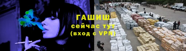 твердый Чекалин