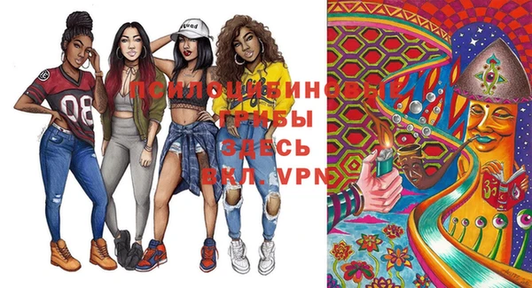 герыч Щучье